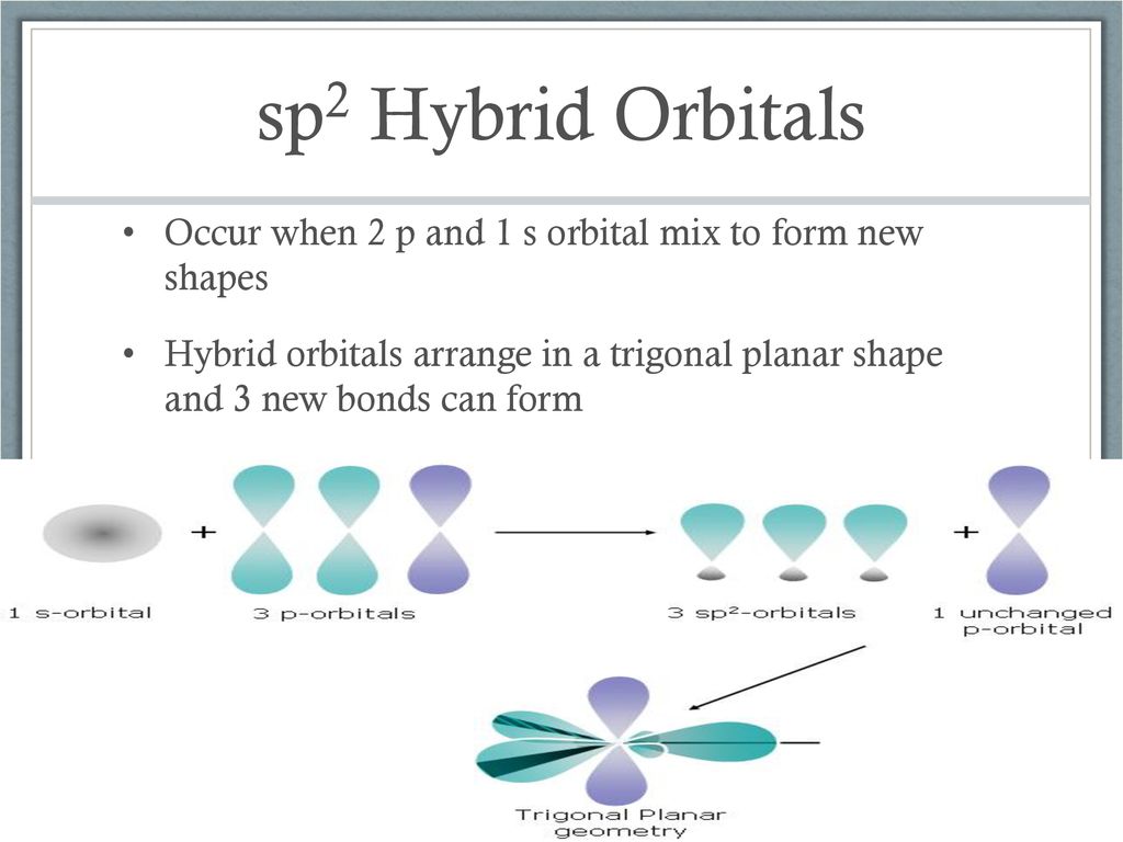 sp2 Hybrid Orbitals Occur when 2 p and 1 s orbital mix to form new shapes.