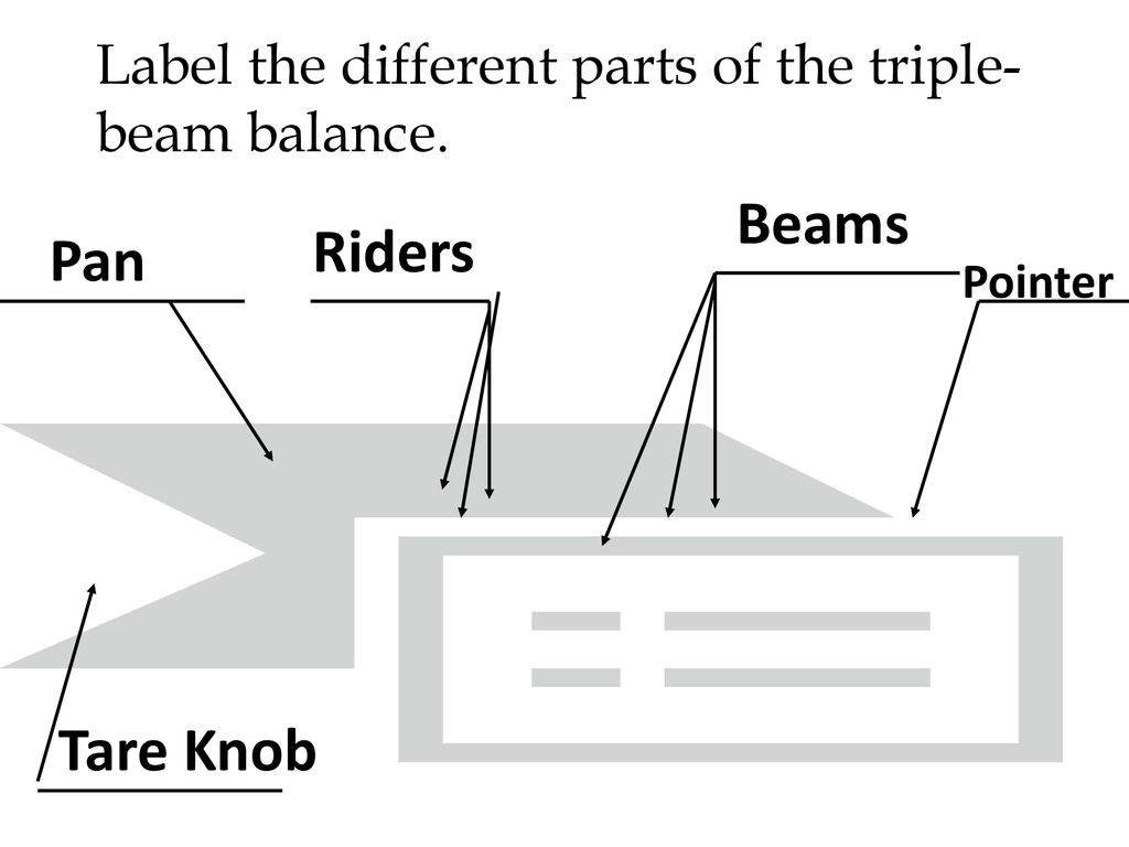 23 Triple Beam Balance Label - Labels Database 23 Within Triple Beam Balance Worksheet