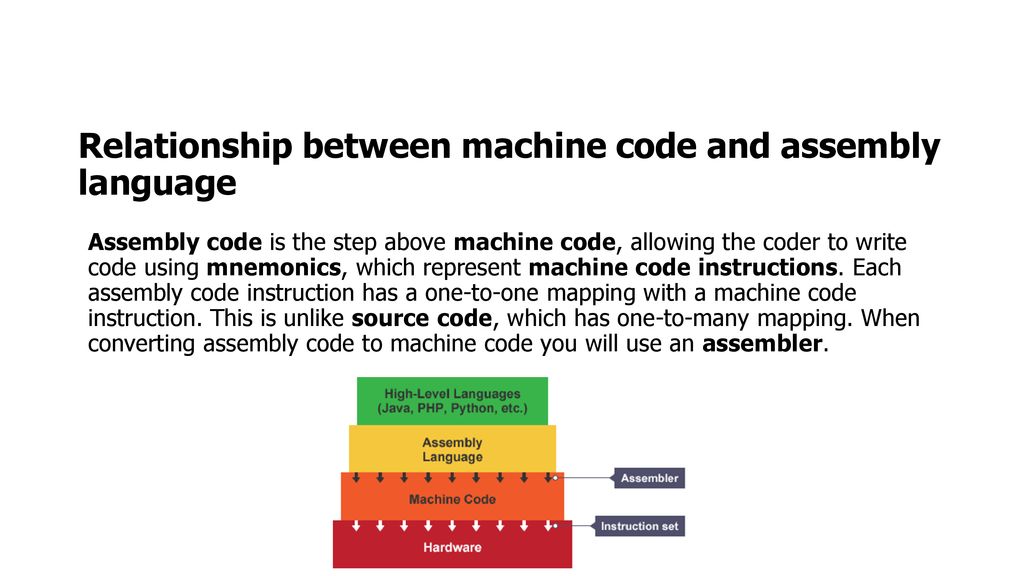 Structure and functions of the processor ppt download
