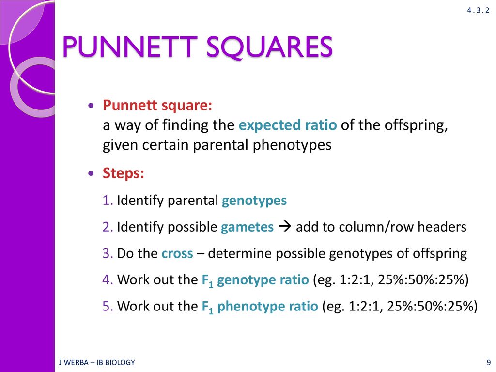 Theoretical Genetics Topic 4 3 Ib Biology Miss Werba Ppt Download