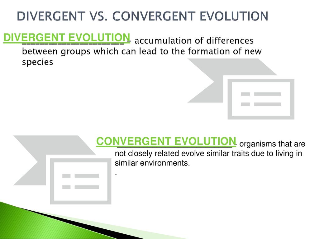 Evolution Ppt Download