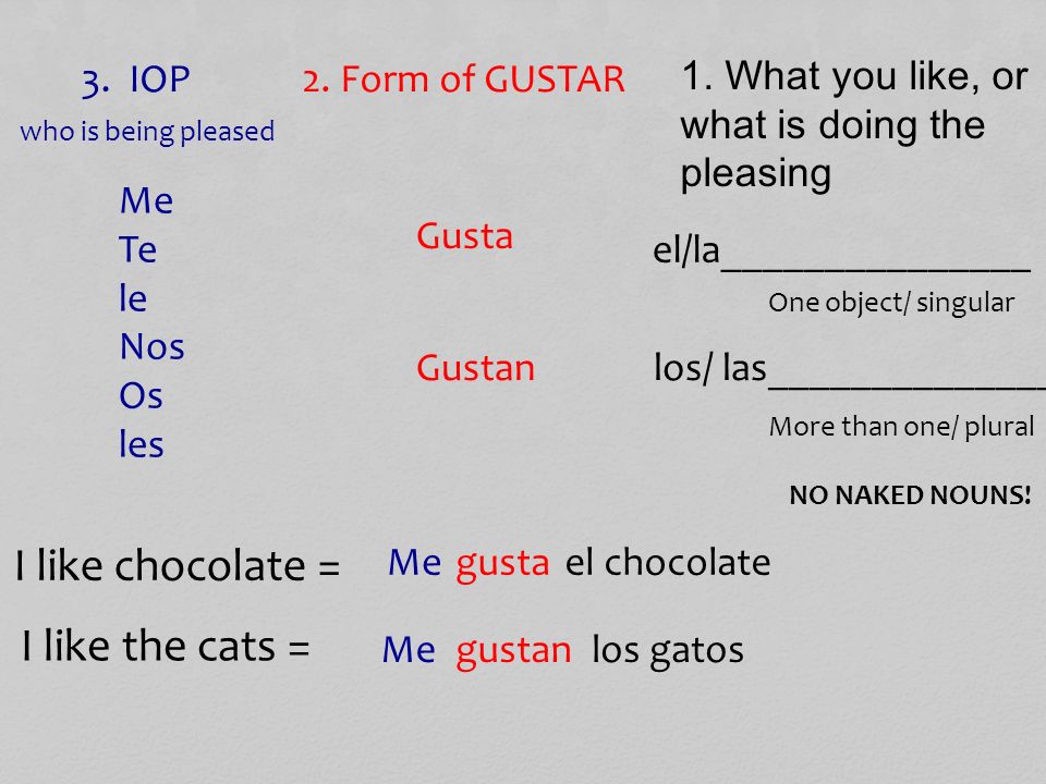I like chocolate = I like the cats = 2. Form of GUSTAR