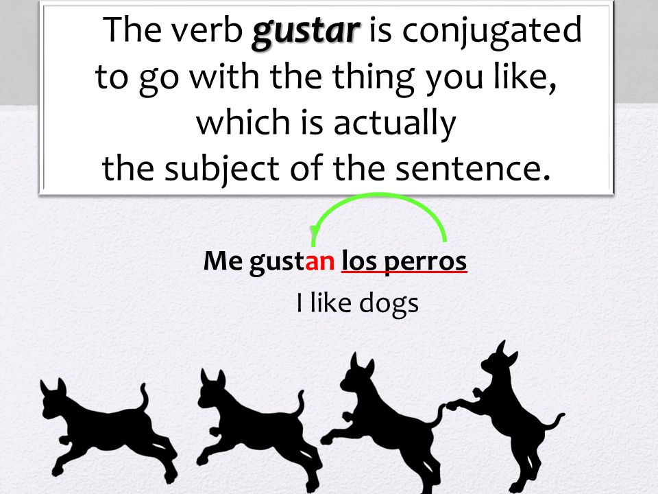 The verb gustar is conjugated to go with the thing you like,