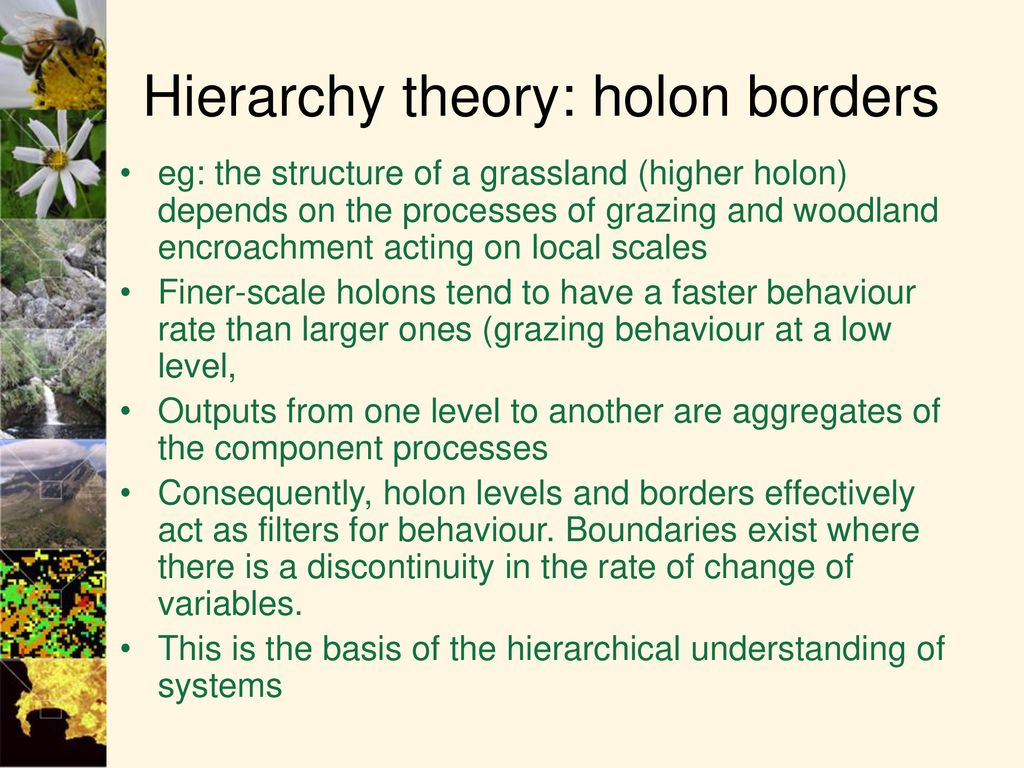 BCB 322: Landscape Ecology - Ppt Download