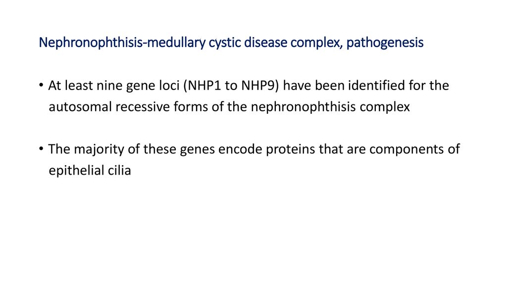 Congenital, developmental & cystic diseases of the kidney - ppt download