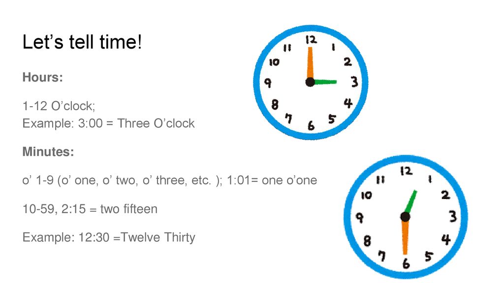 Turtle Time Ppt Download Turtle Time Ppt Download