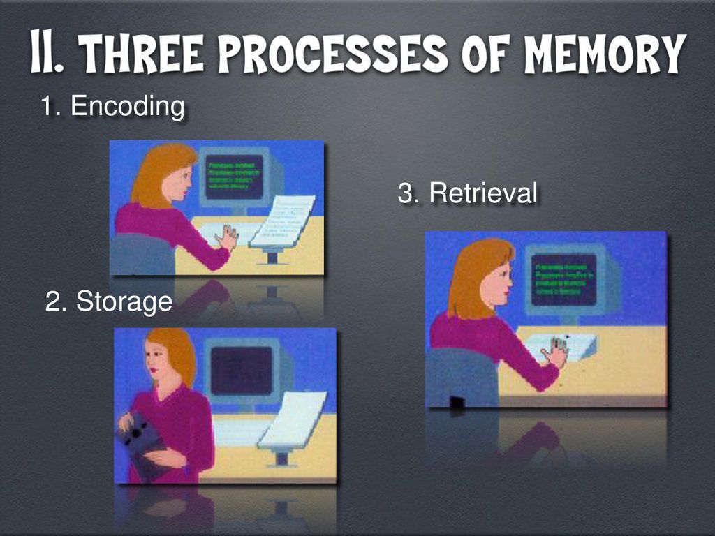 Processes of memory lecture notes key means discuss before notes