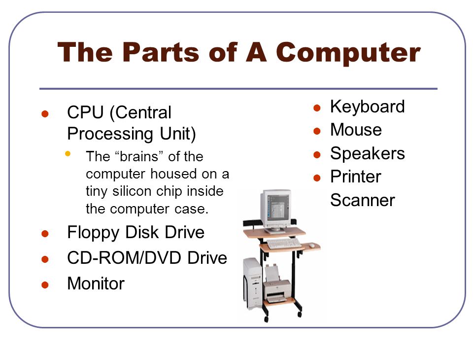 The Parts of A Computer Keyboard CPU (Central Processing Unit) Mouse