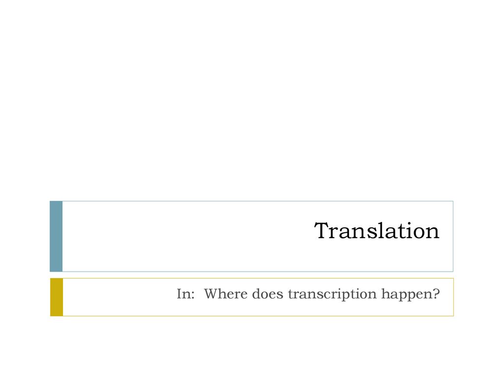 Where Does Transcription Happen