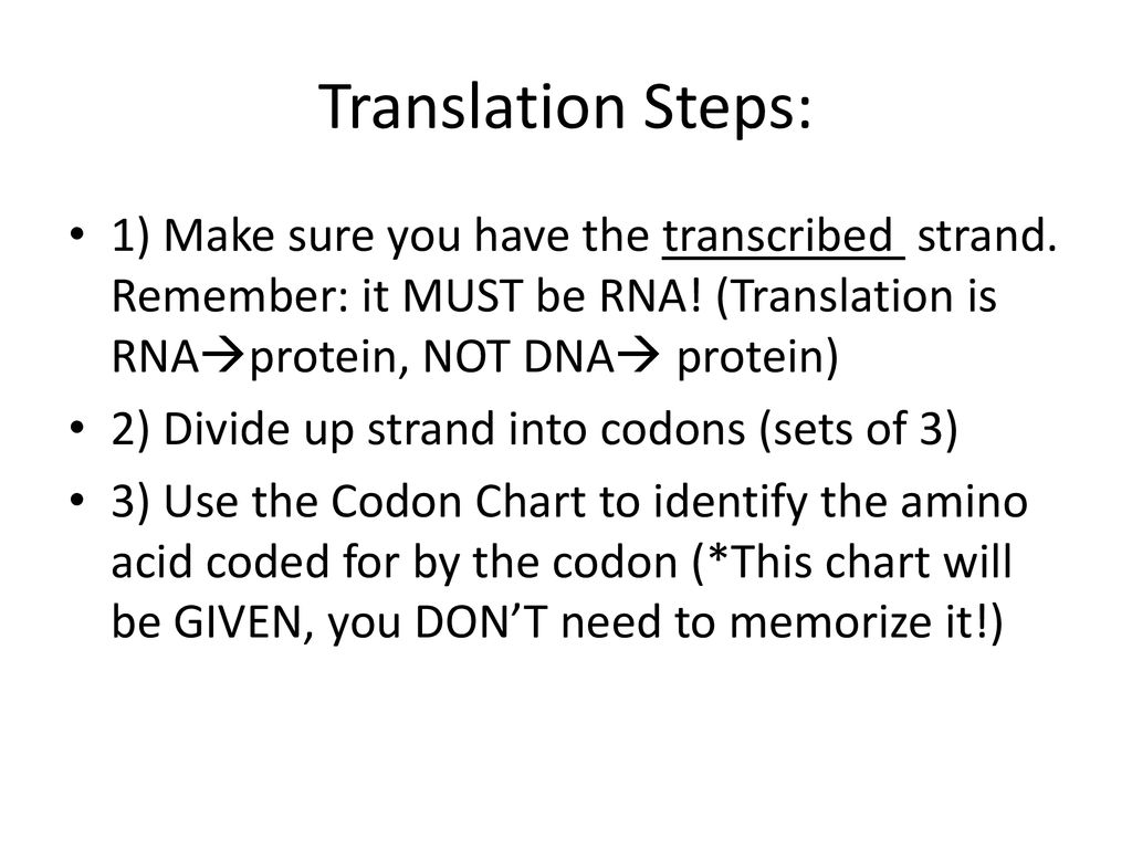 Materials Worksheet Turn In Central Dogma Hw And Gizmo To Front Tray By 2 Min Catalyst 5 Min What Are The 3 Processes Included In The Central Dogma Ppt Download