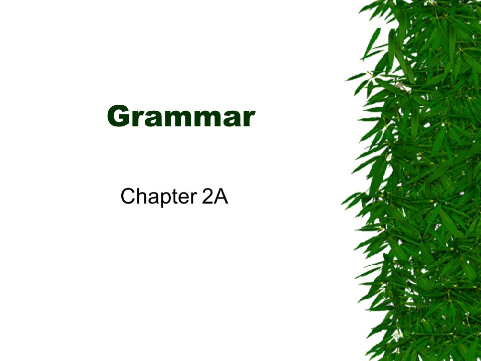 Grammar Chapter 2A