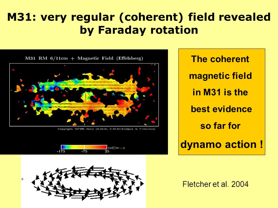 COSMIC MAGNETIC FIELDS ElisaBete M. de Gouveia Dal Pino - ppt download