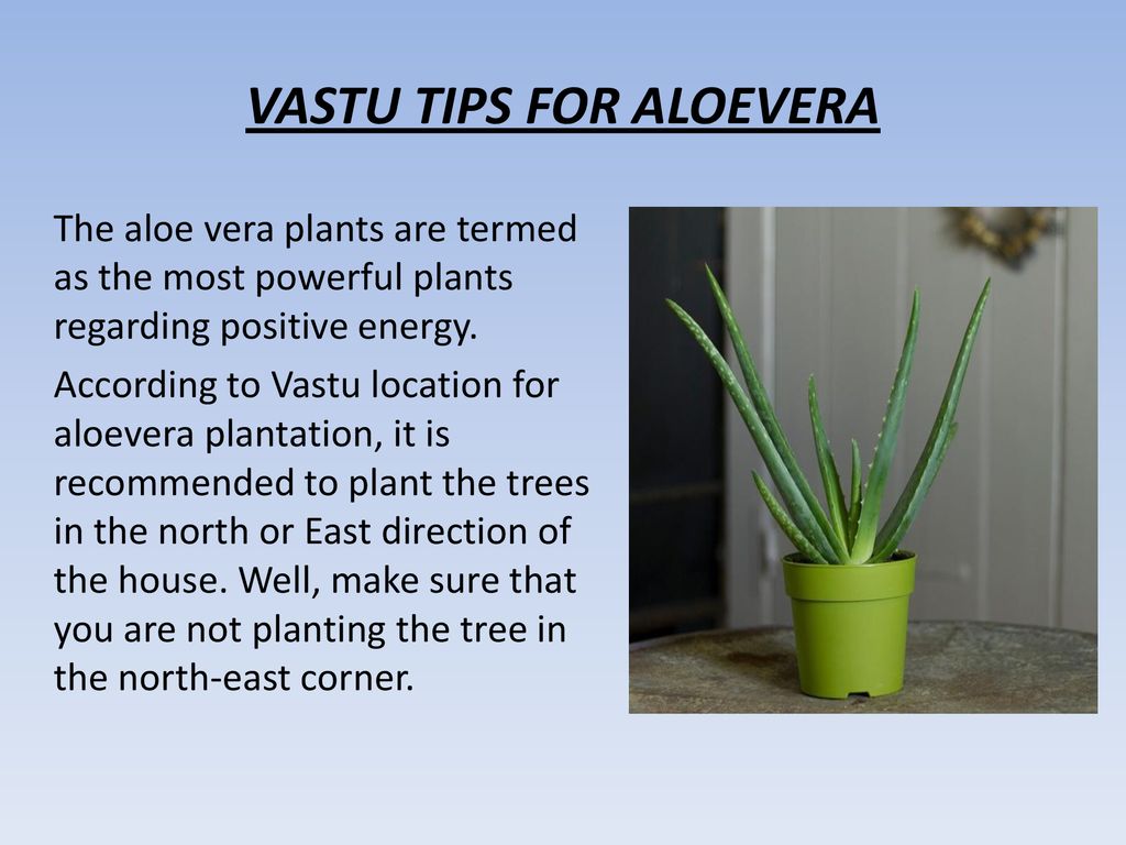 VASTU SHASTRA WITH FLOWER AND PLANTS   ppt download