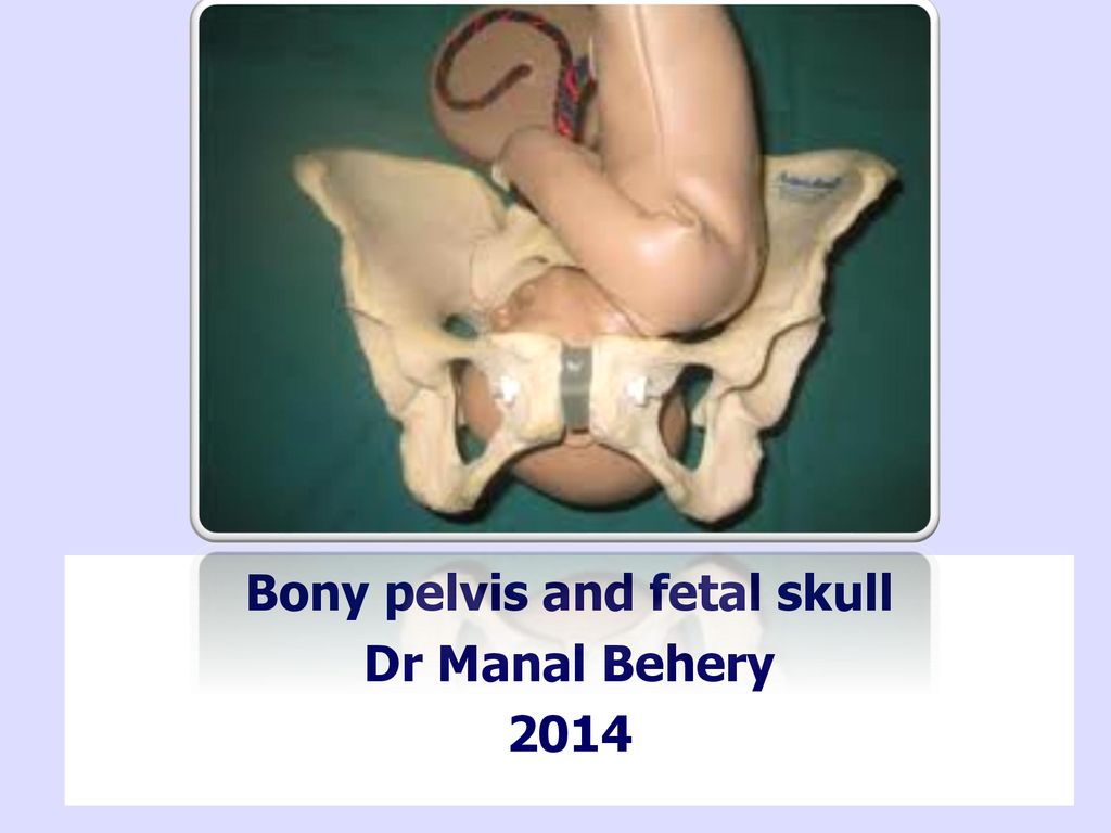 Bony pelvis and fetal skull Dr Manal Behery 2014
