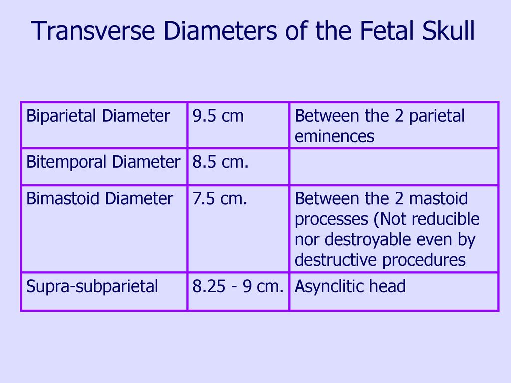 Transverse Diameters of the Fetal Skull