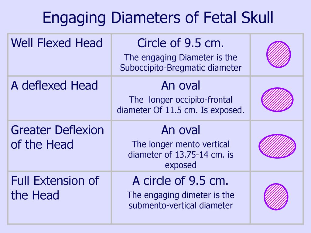 Engaging Diameters of Fetal Skull