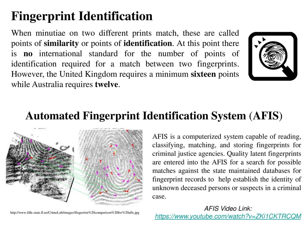 A Closer Look At Fingerprints - Ppt Download