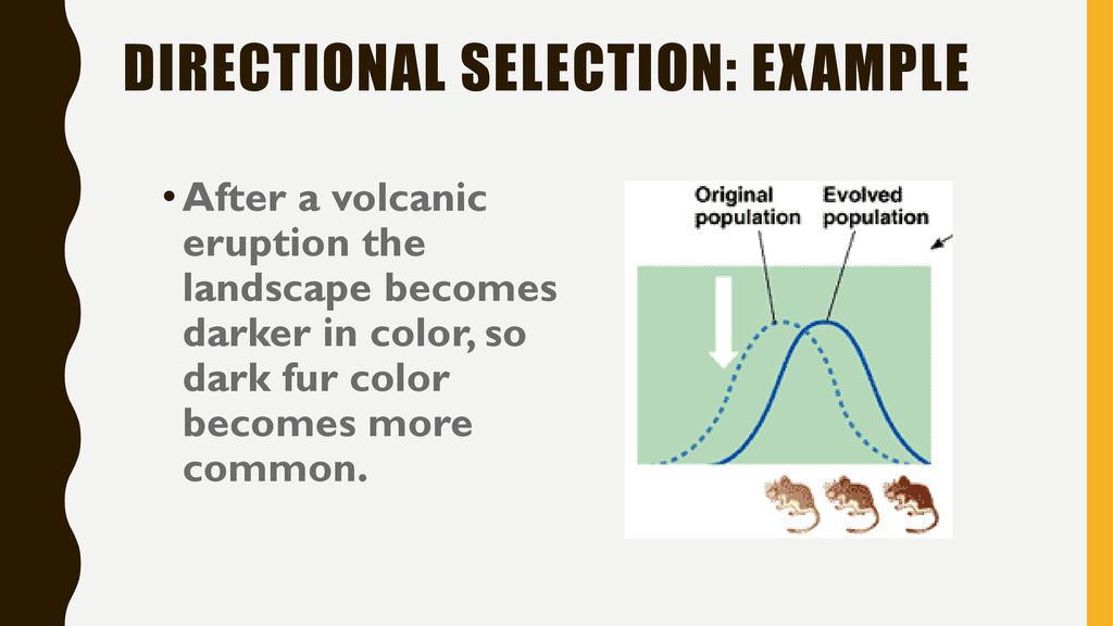Evolution. ppt download