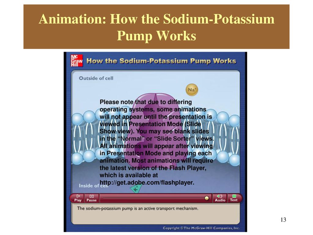 Animation: How the Sodium-Potassium Pump Works