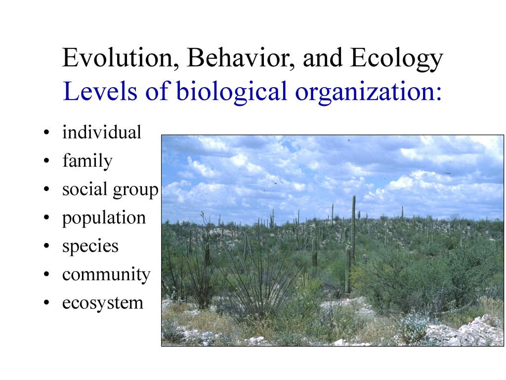 Evolution, Behavior, and Ecology Levels of biological organization: