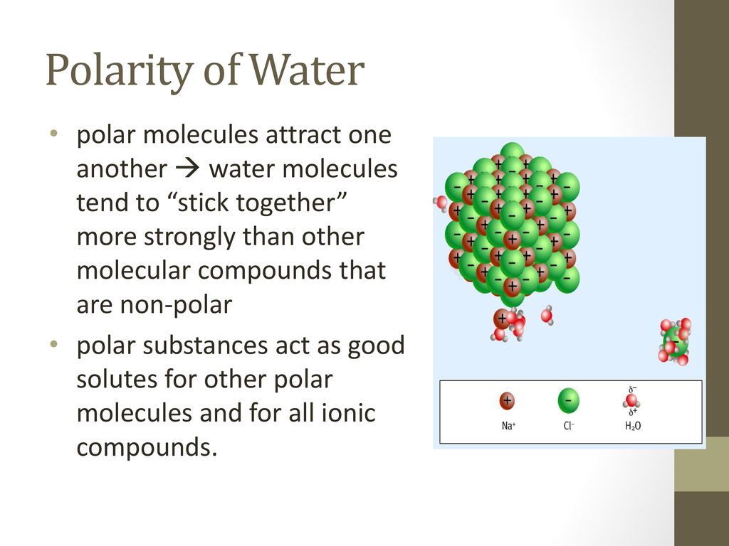 Polarity of Water