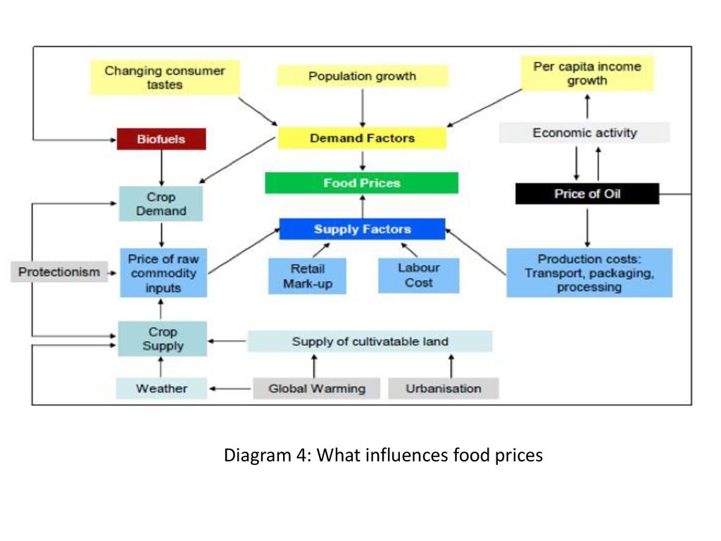 Diagram 4: What influences food prices