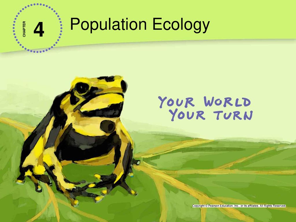 Population Ecology 4 CHAPTER - Ppt Download