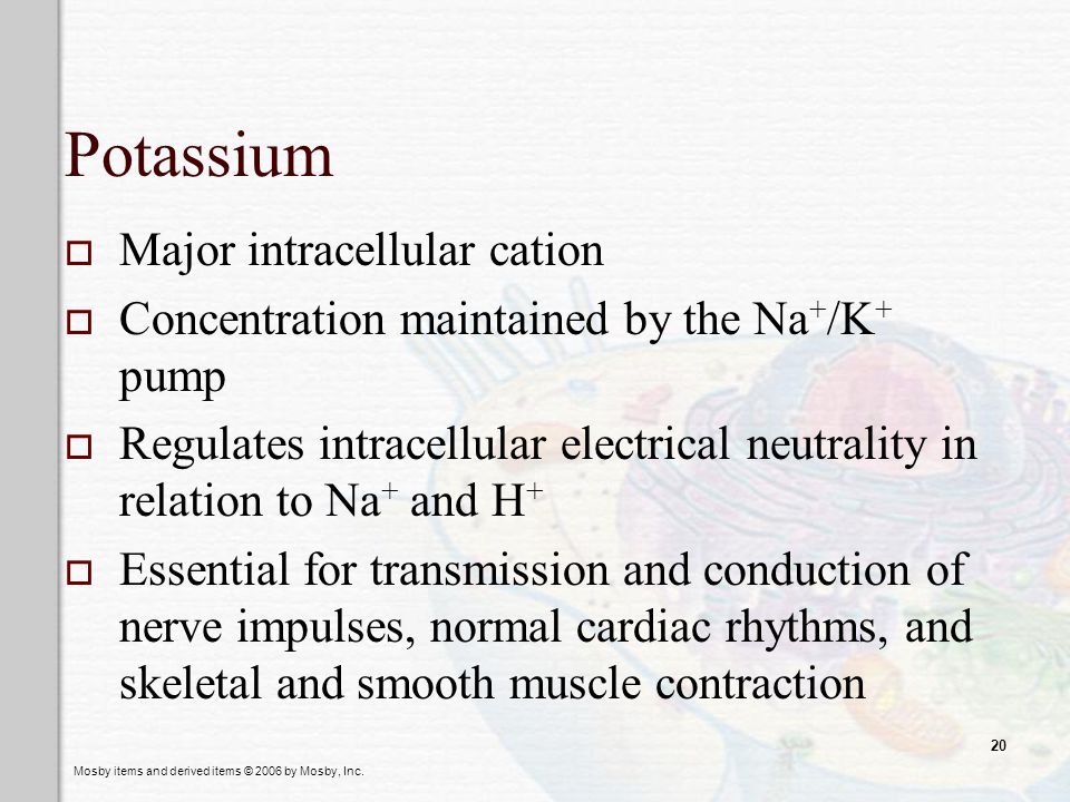 Potassium Major intracellular cation