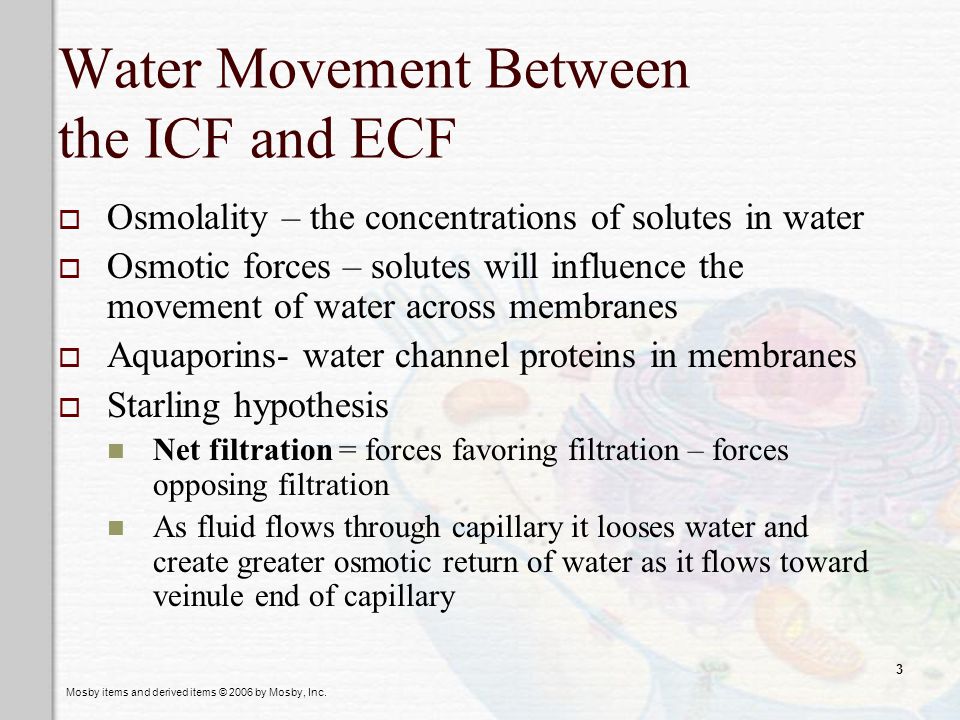 Water Movement Between the ICF and ECF