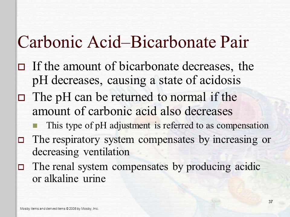 Carbonic Acid–Bicarbonate Pair