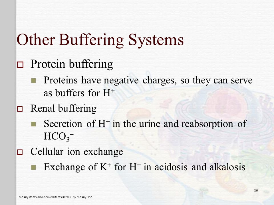 Other Buffering Systems