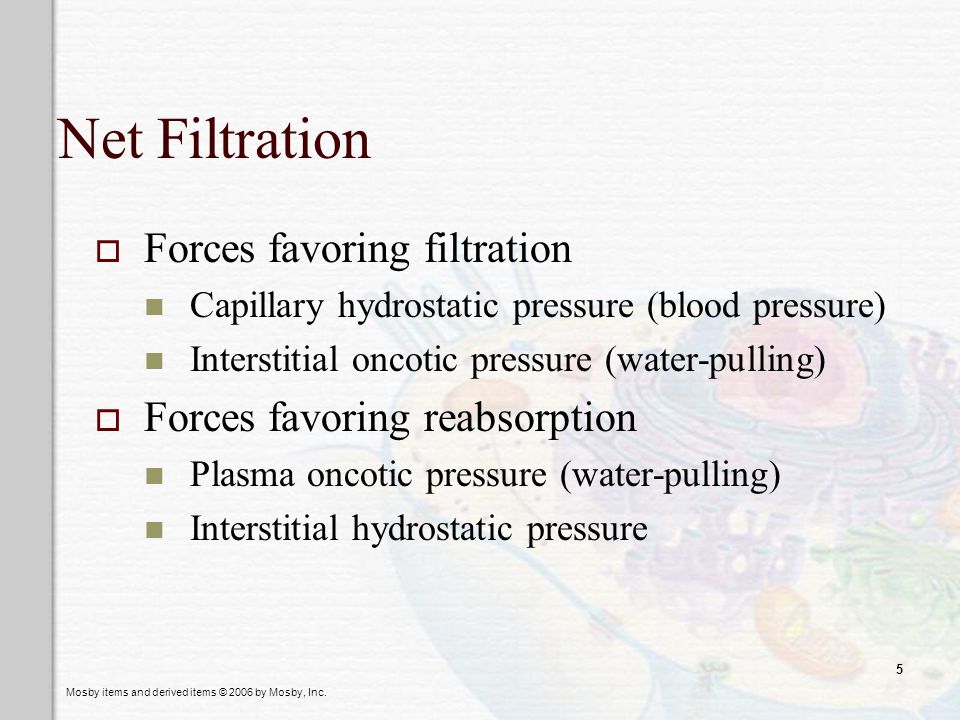 Net Filtration Forces favoring filtration Forces favoring reabsorption