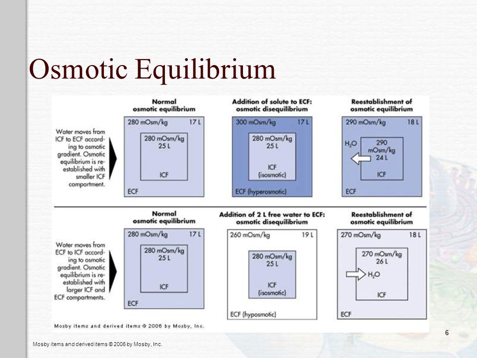 Osmotic Equilibrium
