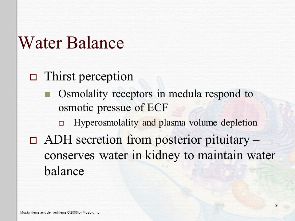 Water Balance Thirst perception