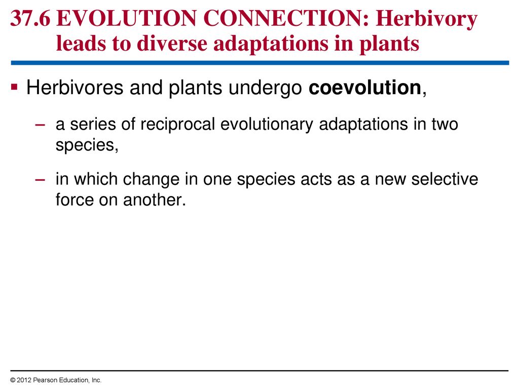 Communities and ecosystems ppt download