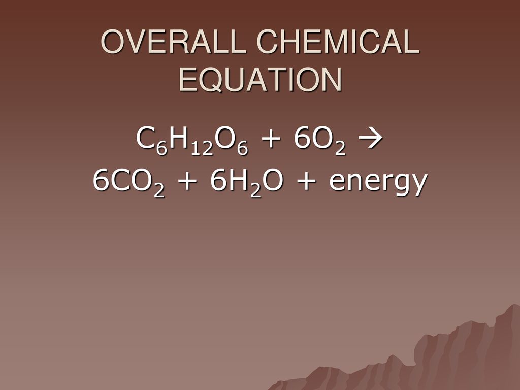 CELLULAR RESPIRATION. - ppt download