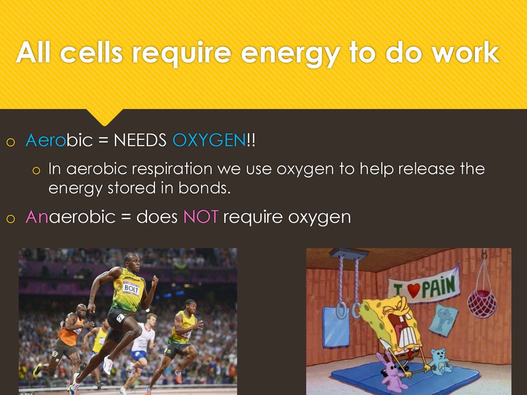 All cells require energy to do work