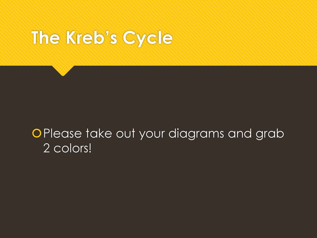 The Kreb’s Cycle Please take out your diagrams and grab 2 colors!