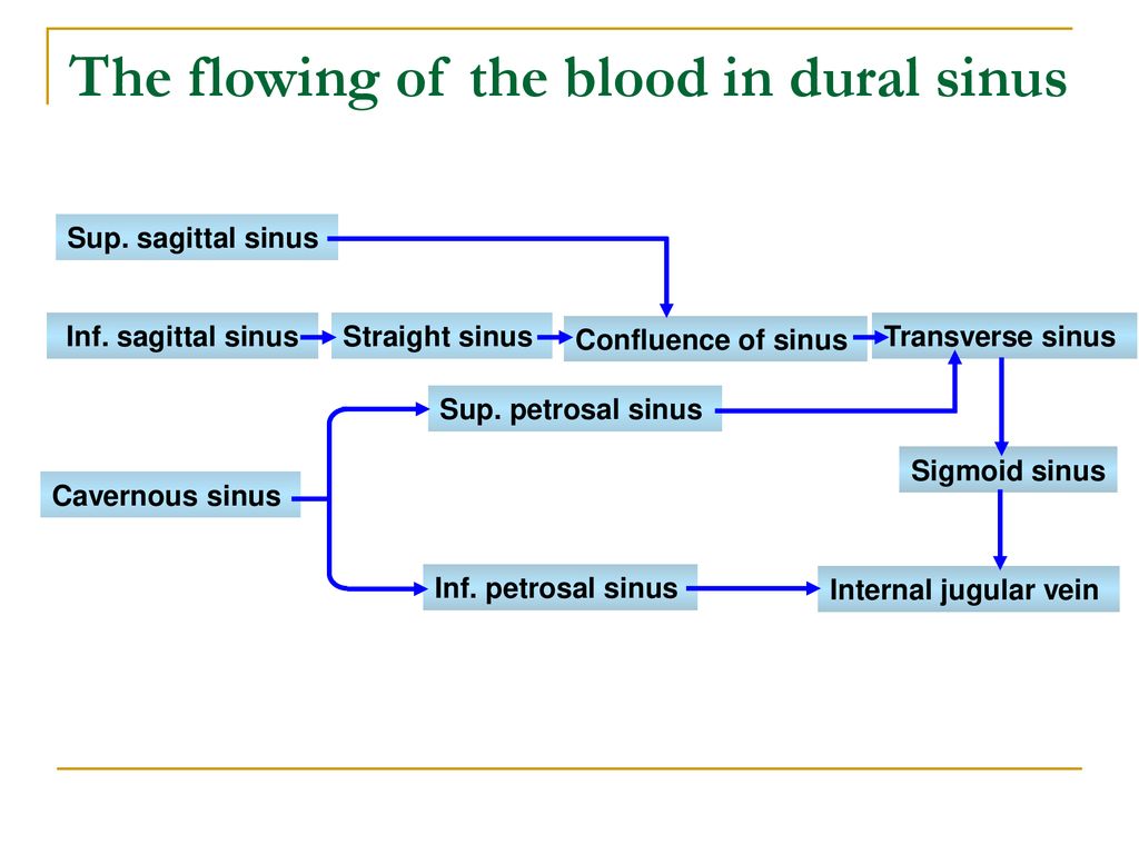 The flowing of the blood in dural sinus