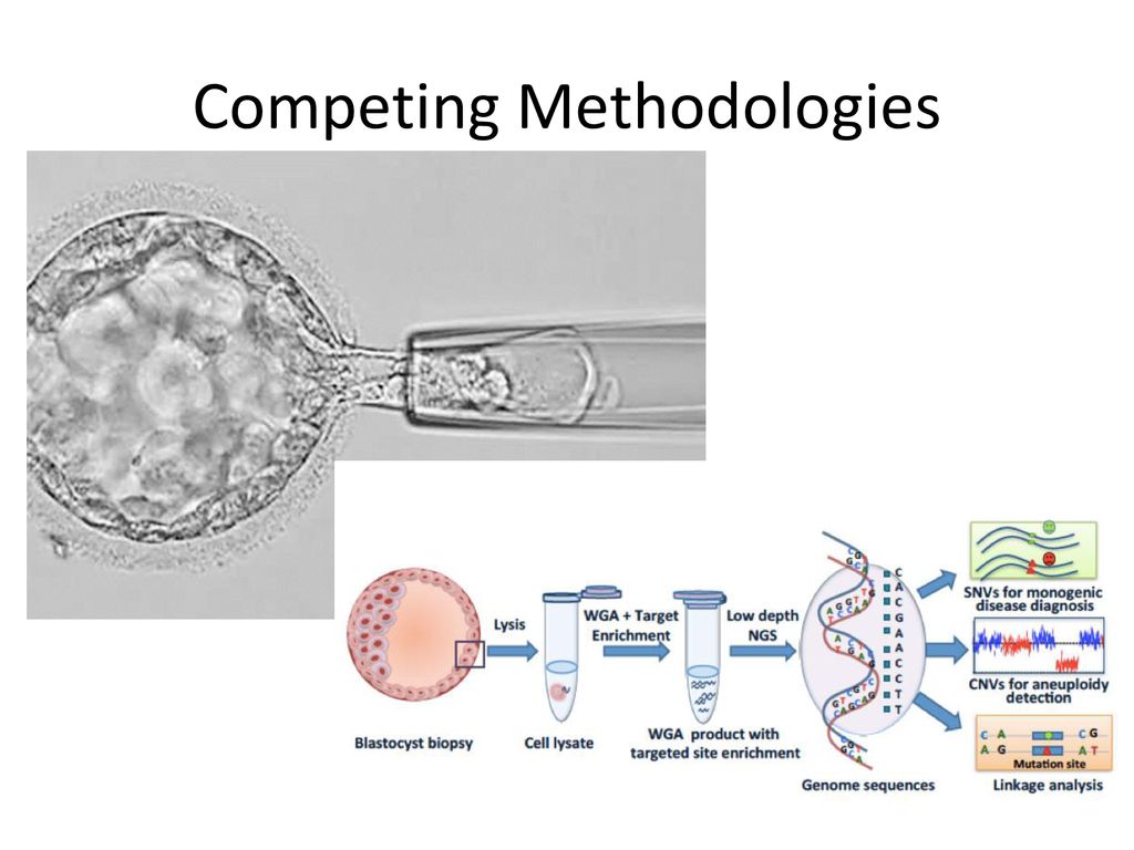 Competing Methodologies