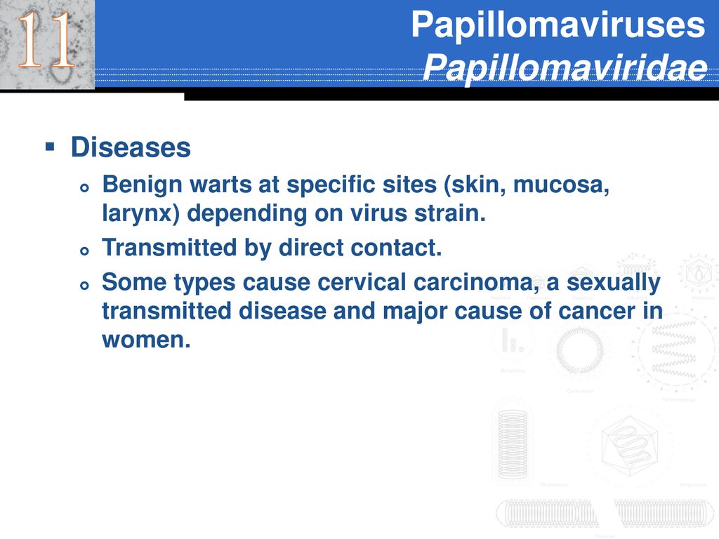 papillomaviridae diseases