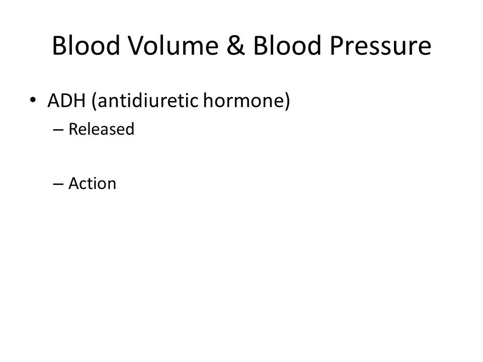 Blood Volume & Blood Pressure