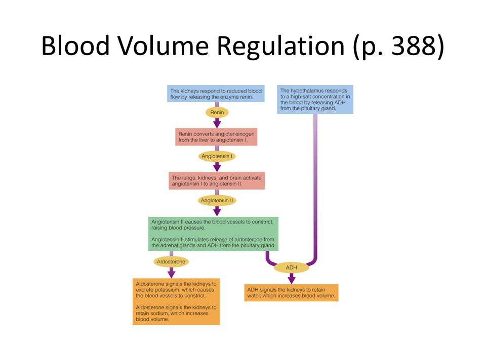 Blood Volume Regulation (p. 388)