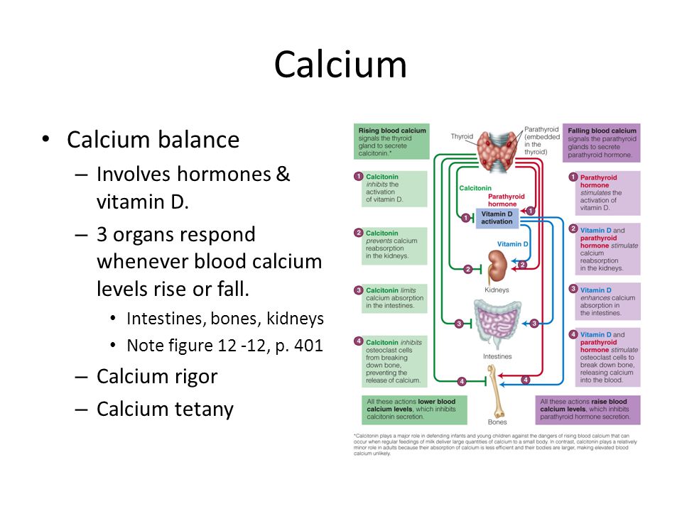 Calcium Calcium balance Involves hormones & vitamin D.
