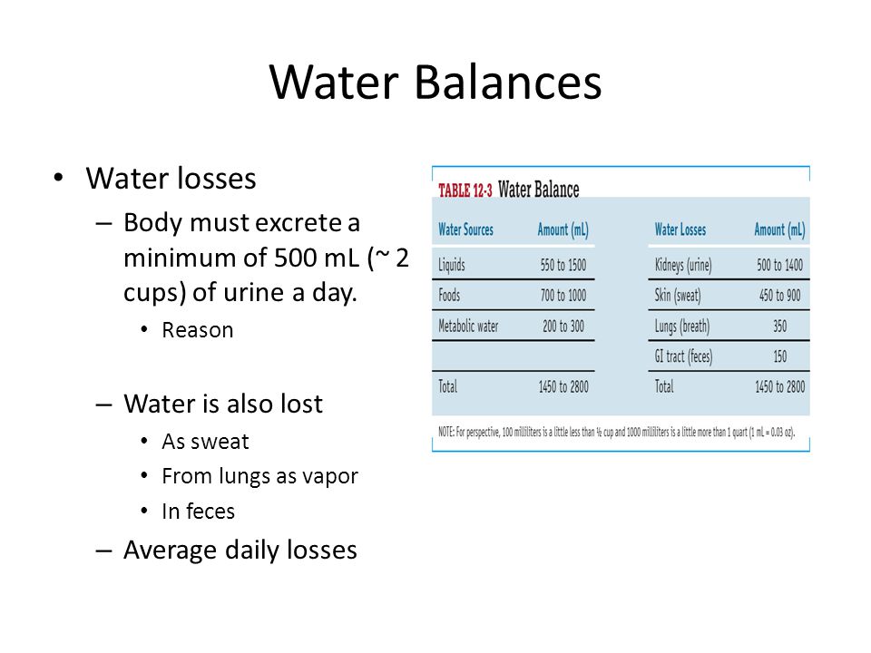 Water Balances Water losses