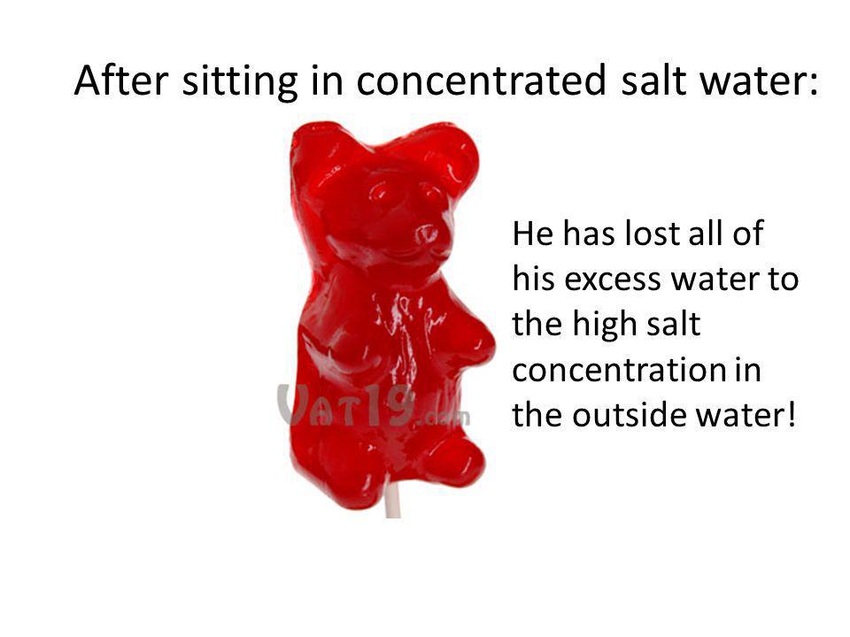 gummy bear in salt water