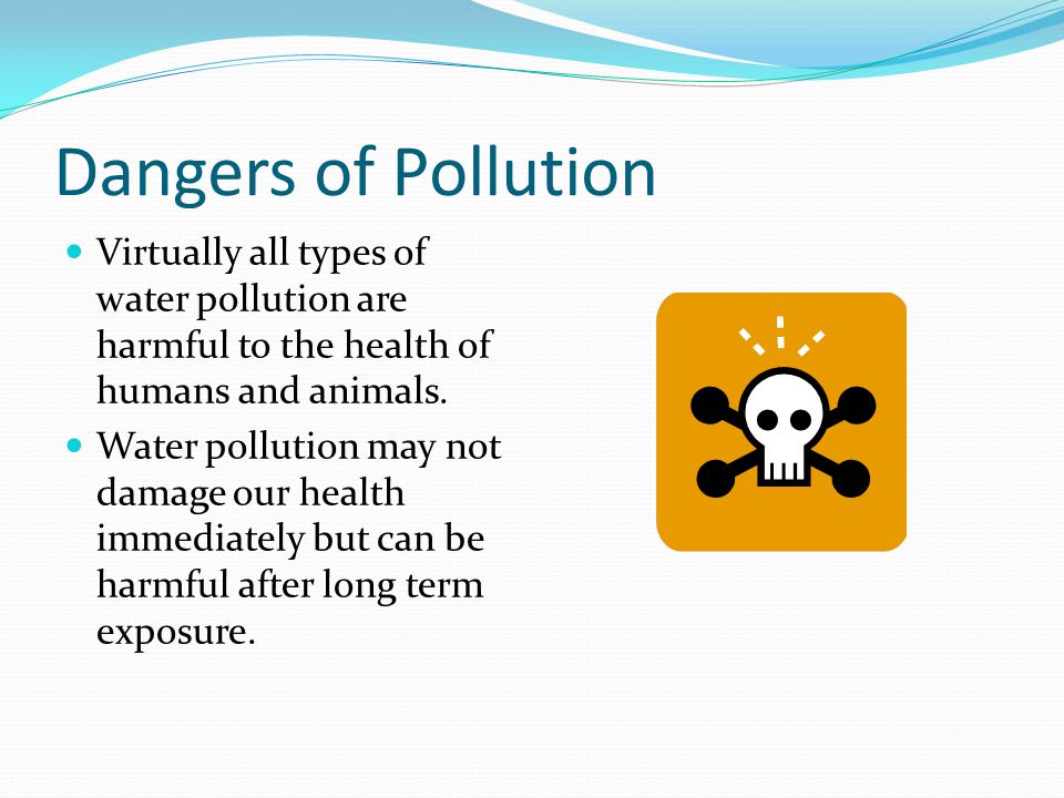 Dangers of Pollution Virtually all types of water pollution are harmful to the health of humans and animals.