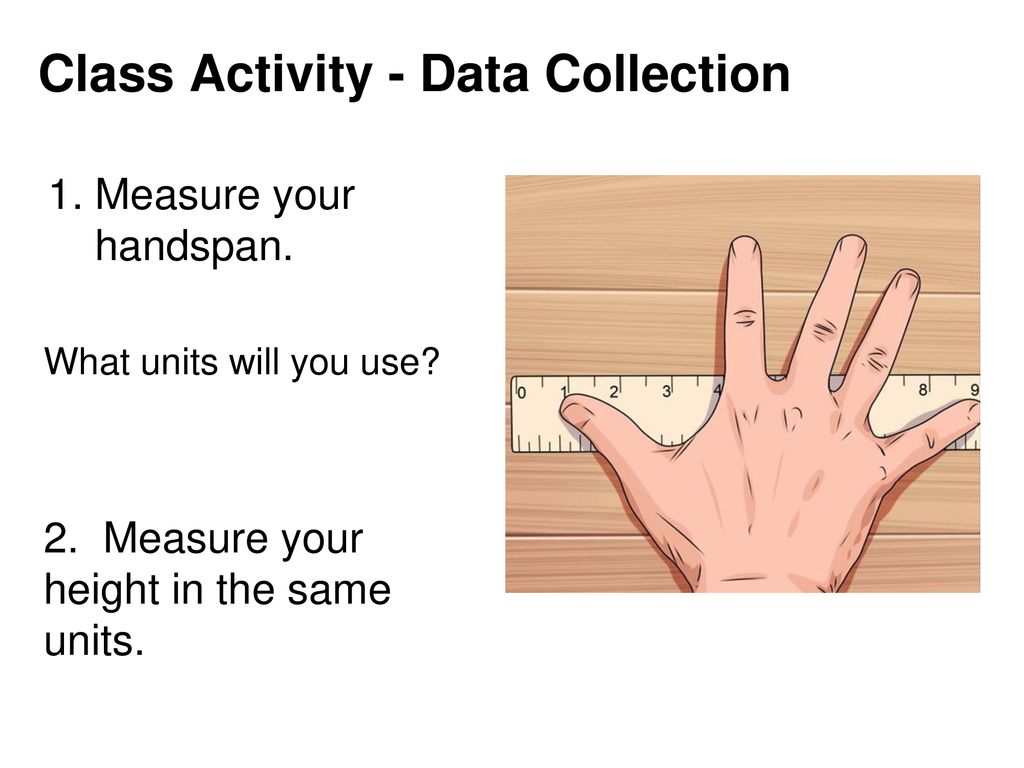 Class Activity - Data Collection
