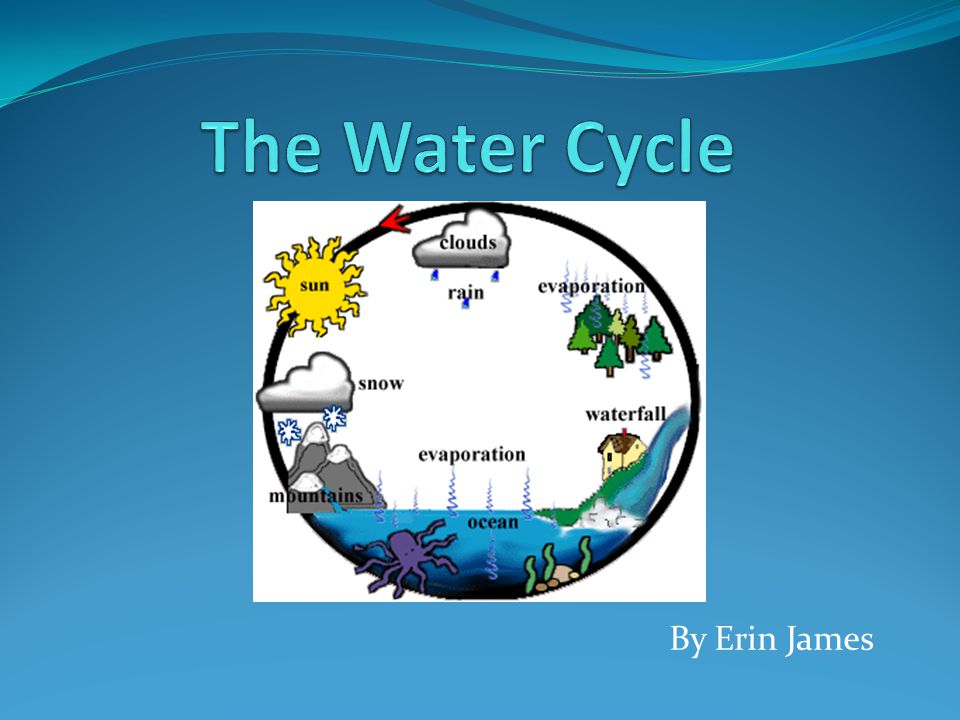 The Water Cycle By Erin James