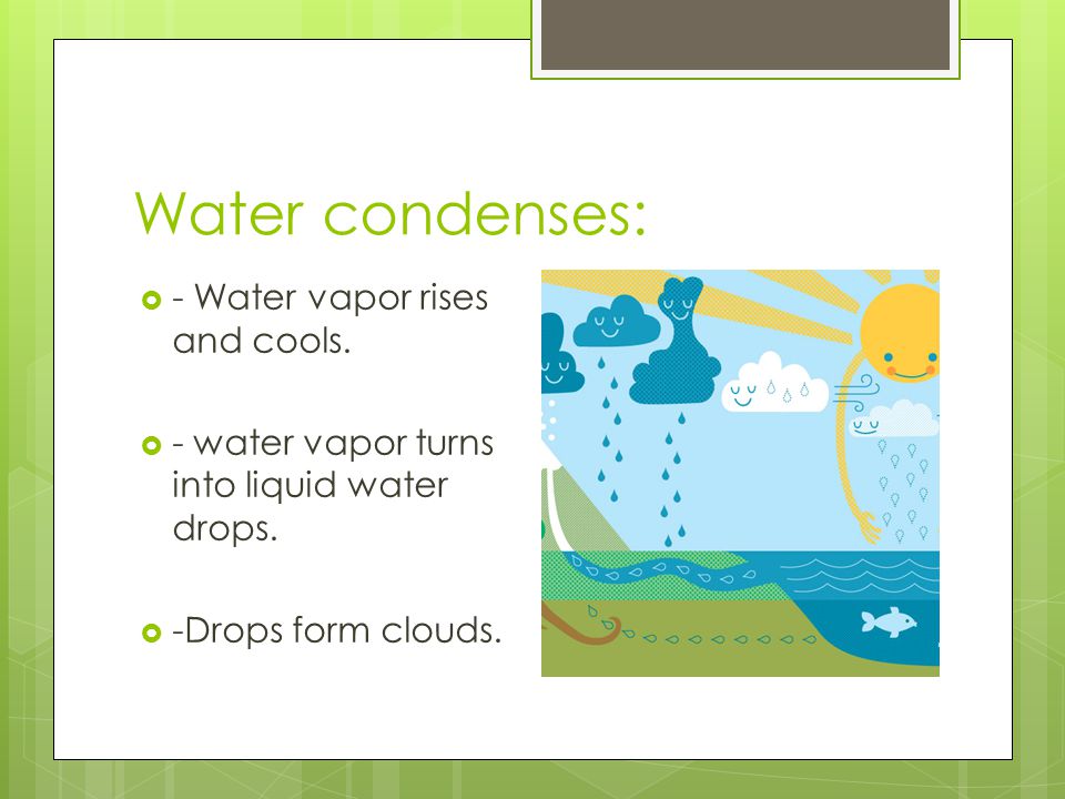 Water condenses: - Water vapor rises and cools.